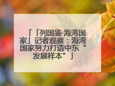 「列国鉴·海湾国家」记者观察：海湾国家努力打造中东“发展样本”