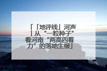 「地评线」河声丨从“一粒种子”看河南“两高四着力”的落地生根