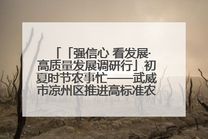 「强信心 看发展·高质量发展调研行」初夏时节农事忙——武威市凉州区推进高标准农田建设见闻