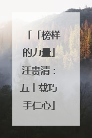 「榜样的力量」汪贵清：五十载巧手仁心