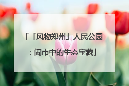 「风物郑州」人民公园：闹市中的生态宝藏