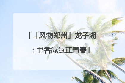 「风物郑州」龙子湖：书香氤氲正青春