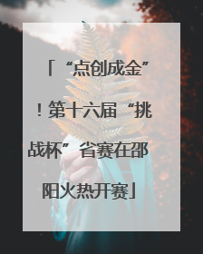 “点创成金”！第十六届“挑战杯”省赛在邵阳火热开赛