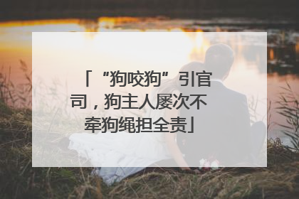 “狗咬狗”引官司，狗主人屡次不牵狗绳担全责