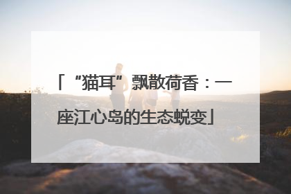 “猫耳”飘散荷香：一座江心岛的生态蜕变