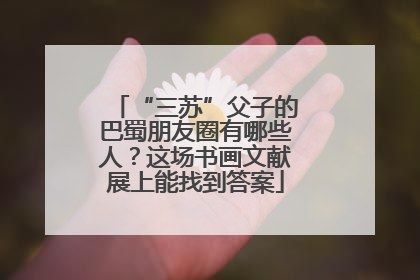 “三苏”父子的巴蜀朋友圈有哪些人？这场书画文献展上能找到答案