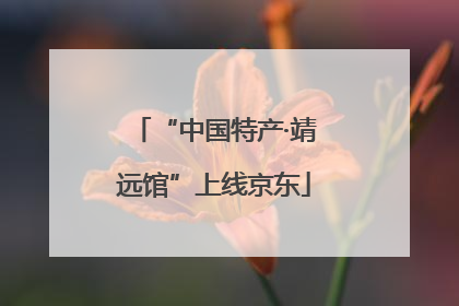 “中国特产·靖远馆”上线京东