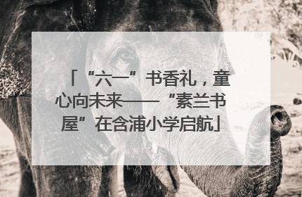 “六一”书香礼，童心向未来——“素兰书屋”在含浦小学启航