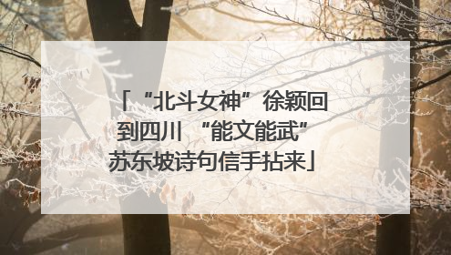“北斗女神”徐颖回到四川 “能文能武”苏东坡诗句信手拈来