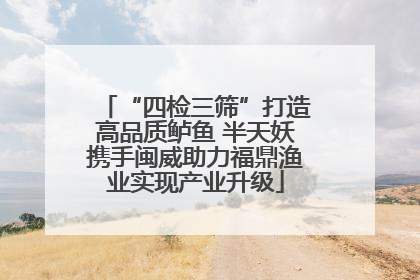“四检三筛”打造高品质鲈鱼 半天妖携手闽威助力福鼎渔业实现产业升级