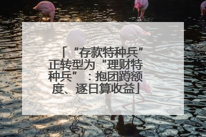 “存款特种兵”正转型为“理财特种兵”：抱团蹲额度、逐日算收益