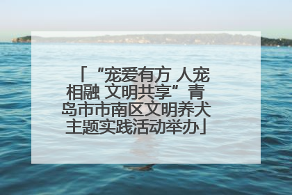 “宠爱有方 人宠相融 文明共享”青岛市市南区文明养犬主题实践活动举办