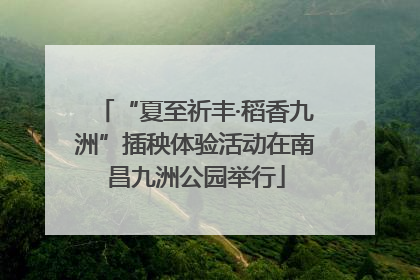 “夏至祈丰·稻香九洲”插秧体验活动在南昌九洲公园举行