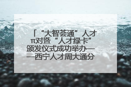 “大智荟通”人才π对暨“人才绿卡”颁发仪式成功举办——西宁人才周大通分会场亮点纷呈