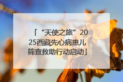 “天使之旅”2025西藏先心病患儿筛查救助行动启动
