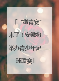 “徽青赛”来了！安徽将举办青少年足球联赛