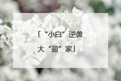 “小白”逆袭大“盈”家