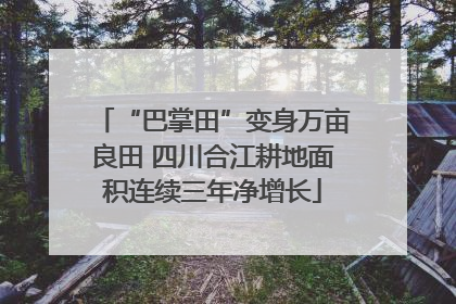 “巴掌田”变身万亩良田 四川合江耕地面积连续三年净增长