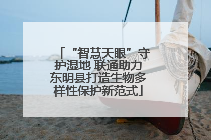 “智慧天眼”守护湿地 联通助力东明县打造生物多样性保护新范式