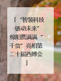 “智领科技·链动未来”绵阳携满满“干货”亮相第二十届西博会