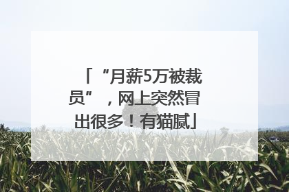 “月薪5万被裁员”，网上突然冒出很多！有猫腻
