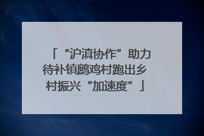 “沪滇协作”助力待补镇鹧鸡村跑出乡村振兴“加速度”