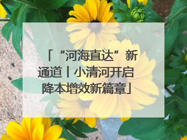 “河海直达”新通道丨小清河开启降本增效新篇章