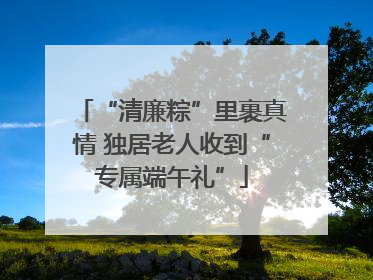 “清廉粽”里裹真情 独居老人收到“专属端午礼”