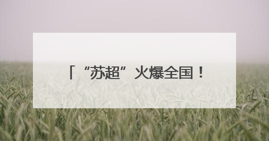 “苏超”火爆全国！网友调侃：“比赛第一，友谊第十四！”