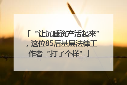 “让沉睡资产活起来”，这位85后基层法律工作者“打了个样”