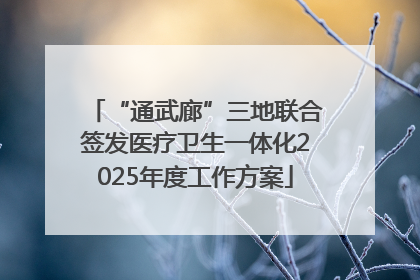 “通武廊”三地联合签发医疗卫生一体化2025年度工作方案