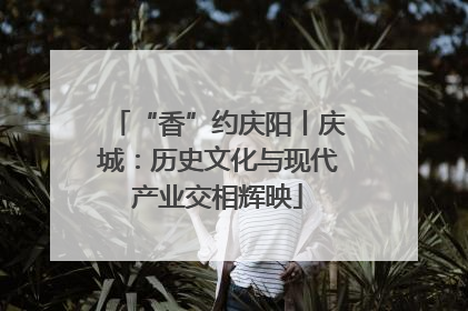 “香”约庆阳丨庆城：历史文化与现代产业交相辉映