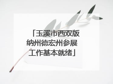 玉溪市西双版纳州德宏州参展工作基本就绪