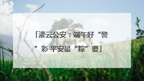 灌云公安：端午好“警”彩 平安最“粽”要