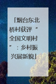 烟台东北桥村获评“全国文明村”：乡村振兴展新貌