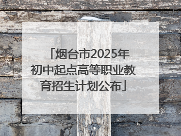 烟台市2025年初中起点高等职业教育招生计划公布
