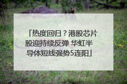 热度回归？港股芯片股迎持续反弹 华虹半导体短线强势5连阳