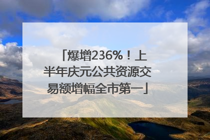 爆增236%！上半年庆元公共资源交易额增幅全市第一