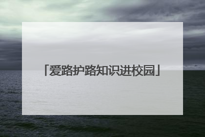爱路护路知识进校园