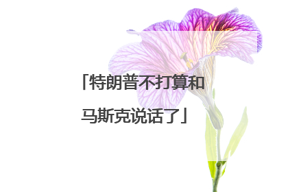 特朗普不打算和马斯克说话了