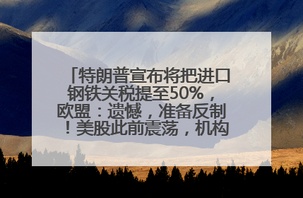 特朗普宣布将把进口钢铁关税提至50%，欧盟：遗憾，准备反制！美股此前震荡，机构：美元正进入熊市