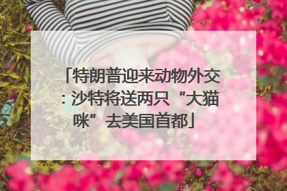 特朗普迎来动物外交：沙特将送两只“大猫咪”去美国首都