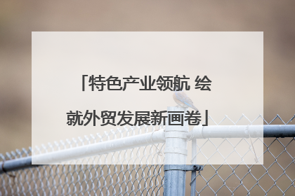 特色产业领航 绘就外贸发展新画卷