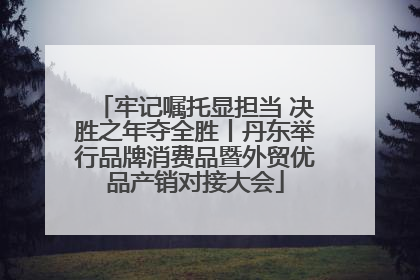 牢记嘱托显担当 决胜之年夺全胜丨丹东举行品牌消费品暨外贸优品产销对接大会