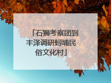 石狮考察团到丰泽调研蟳埔民俗文化村