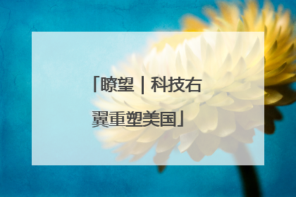 瞭望｜科技右翼重塑美国