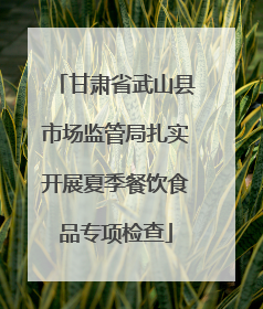 甘肃省武山县市场监管局扎实开展夏季餐饮食品专项检查