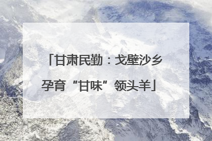 甘肃民勤：戈壁沙乡孕育“甘味”领头羊