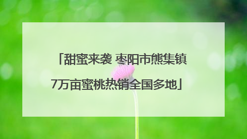 甜蜜来袭 枣阳市熊集镇7万亩蜜桃热销全国多地