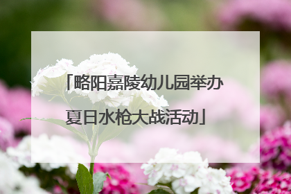 略阳嘉陵幼儿园举办夏日水枪大战活动